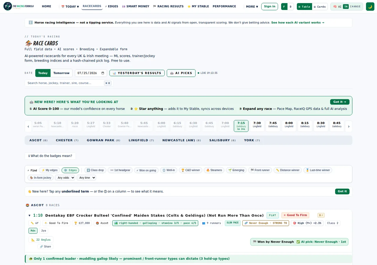 AI Racecards — every runner scored, with one-tap value filters